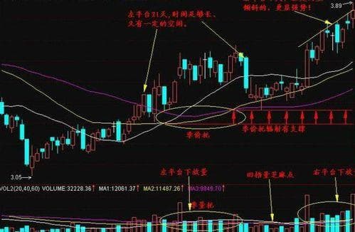 揭秘股市奇观：资金流出股价却逆势飞扬
