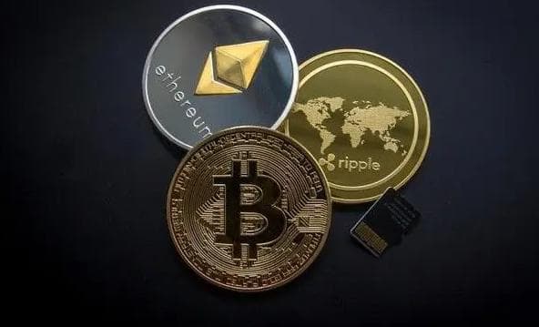 奇亚币最新消息2024年