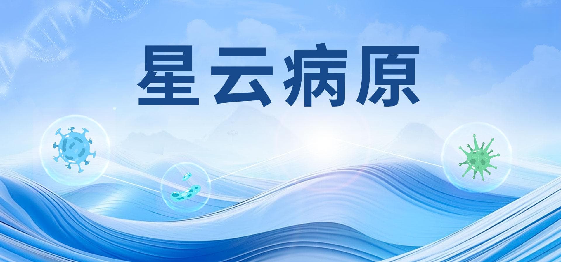 临床常见条件致病菌——肺炎克雷伯菌