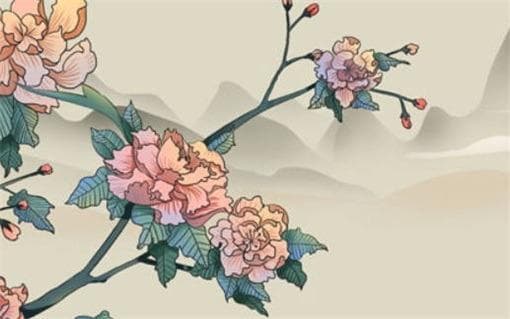 五行属性与美丽的关系分析：五行如何影响性格与外貌