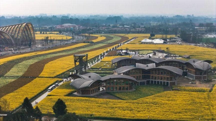 2025天府农博园油菜花观赏指南