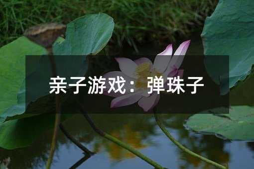 亲子游戏：弹珠子