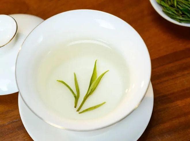2025各地名优绿茶上市时间，你心仪的还要等多久？
