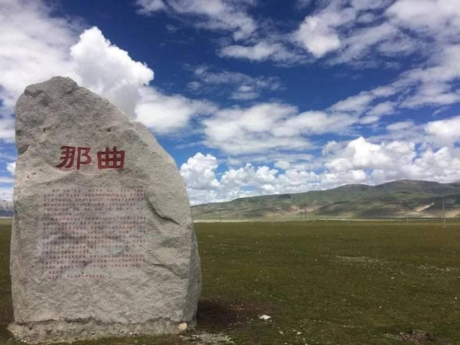 去西藏旅游顺便挖点虫草？别想当然，私挖虫草可是有法律风险的！