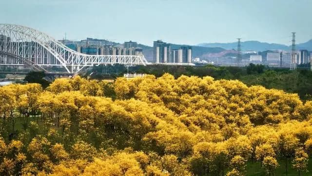 到站不用停车，再也不用赶高铁？中国将研发不停站高铁，如何实现