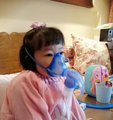 狗狗咳嗽雾化治疗的效果与注意事项（宠物治疗的安全性探究）