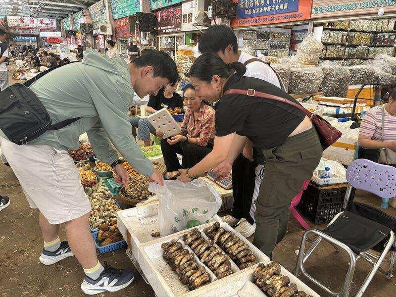 量升价降！云南最大野生菌市场迎来丰收季