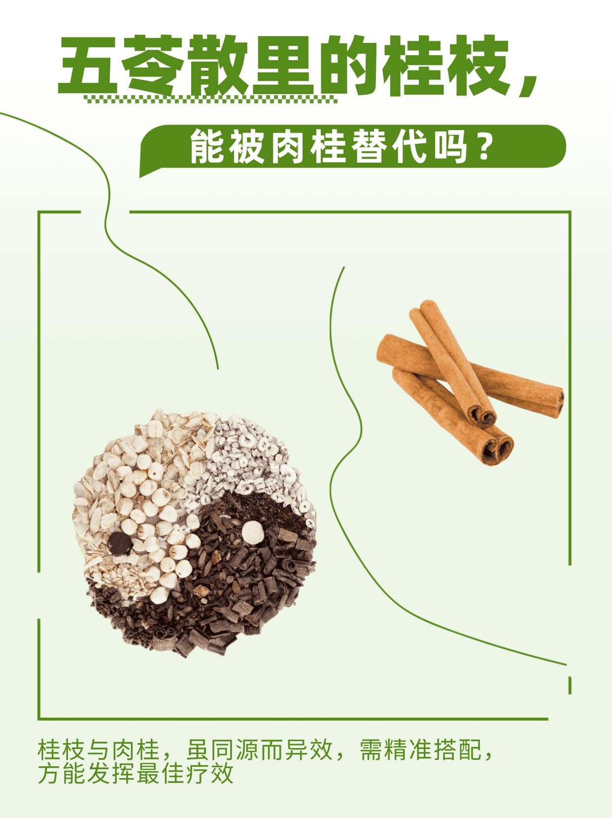 五苓散里的桂枝，能被肉桂替代吗？