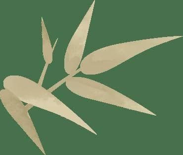 保胃健康 | 自己晒的橘子果皮能叫作陈皮吗？