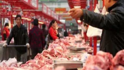 猪肉期货对市场有什么影响(猪肉期货对养殖业的影响)