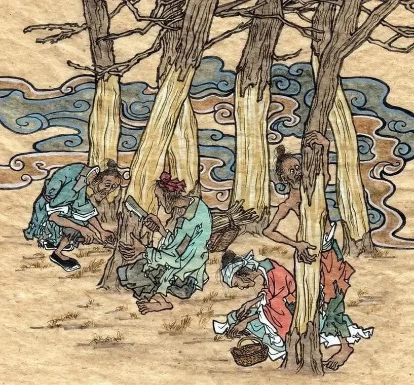 中国古代饥荒时期“人相食”背后，朊病毒为什么极少传播？
