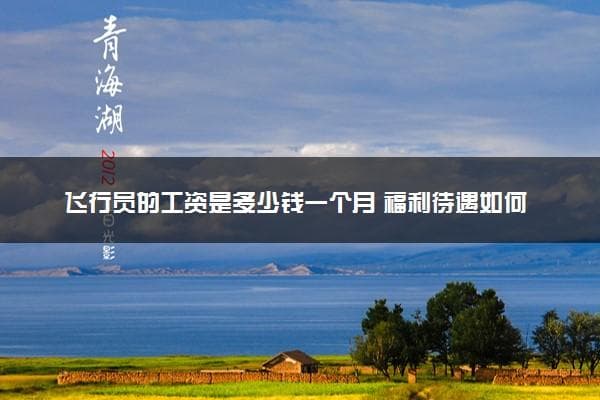飞行员的工资是多少钱一个月？福利待遇如何？
