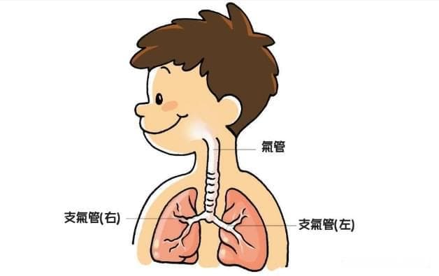 冬季，气管炎高发，如何应对？