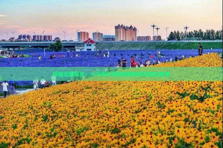 大兴安岭到新疆：多种交通方式与行程规划详解