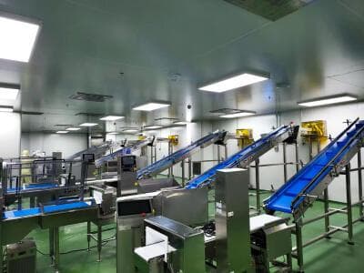 大米生产线投资全解析：成本、影响因素及市场潜力