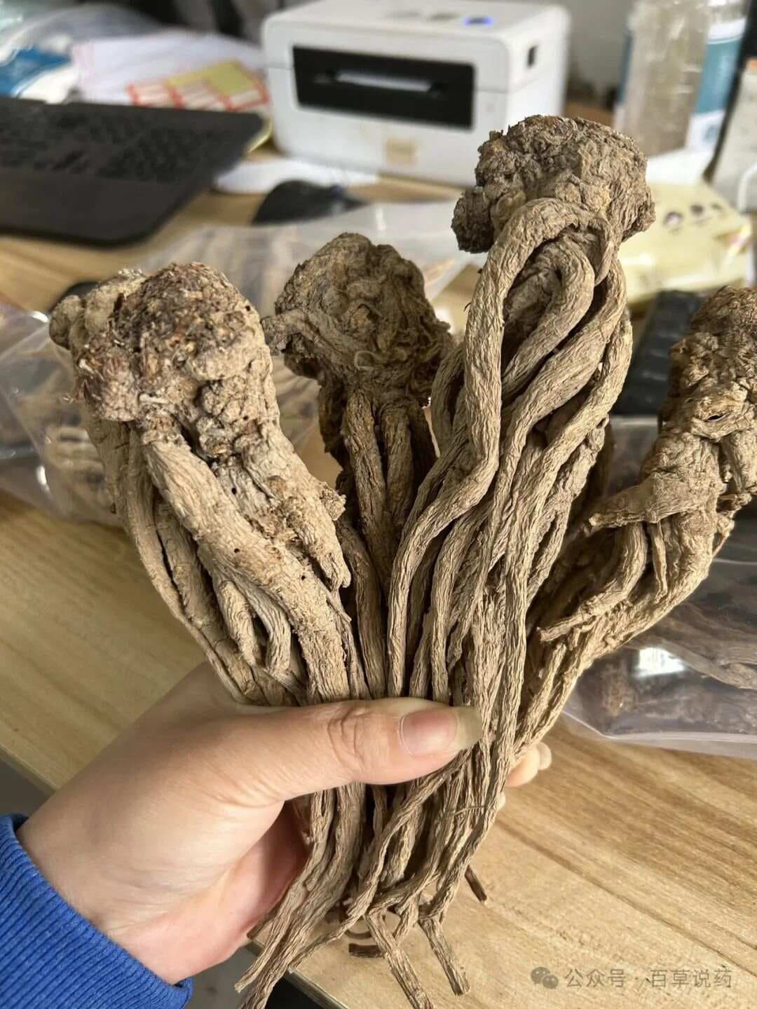 【中草药科普】每天认识一味中草药-当归