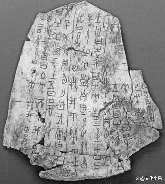 大篆与小篆的发展和区别