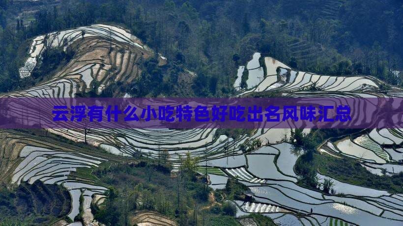 云浮十大特色小吃：从裹蒸粽到烧鹅，品味岭南美食文化