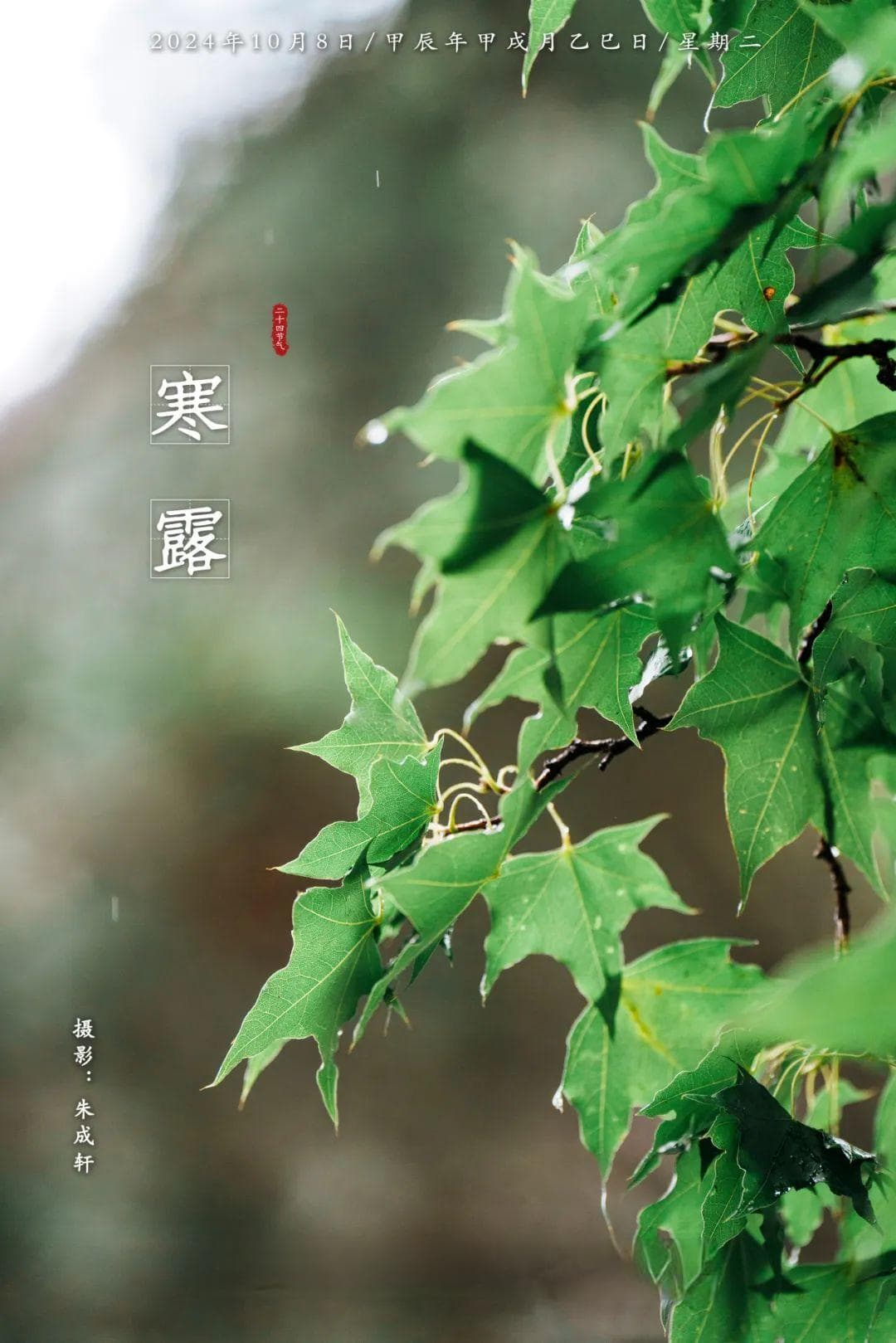 寒露 | 量子测量与量子力学诠释