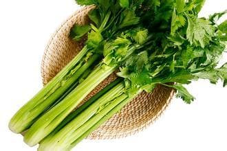 芹菜保鲜冷库储存方法