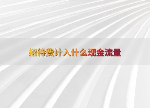 招待费计入什么现金流量