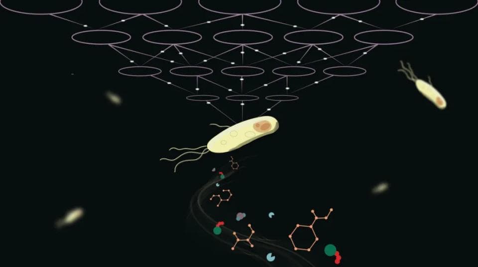 清华学者专注于生命数字化，以AI+机理双核驱动构建代谢模型，加速模型实现质的飞跃