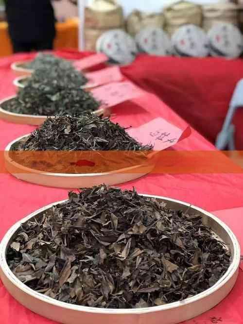 普洱茶知识