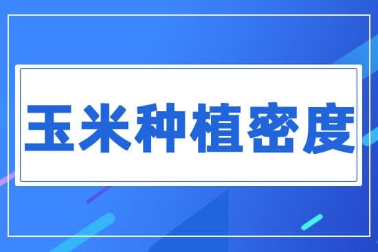 玉米种植密度多少才合理？不同株型品种玉米合理密植范围！