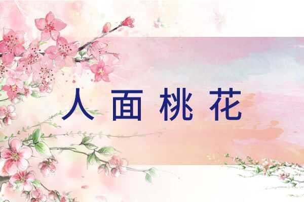 人面桃花：一段关于错过与重逢的动人故事