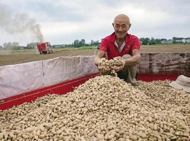 花生或是糖尿病的发物？医生提醒：若想胰岛强壮，5种食物建议远离