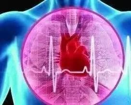 华夏文化系列之七：五脏六腑