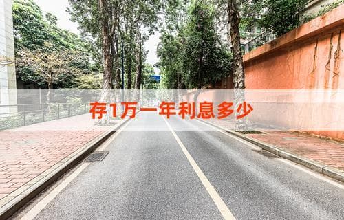 存1万一年利息多少？了解不同存款方式的利率差异