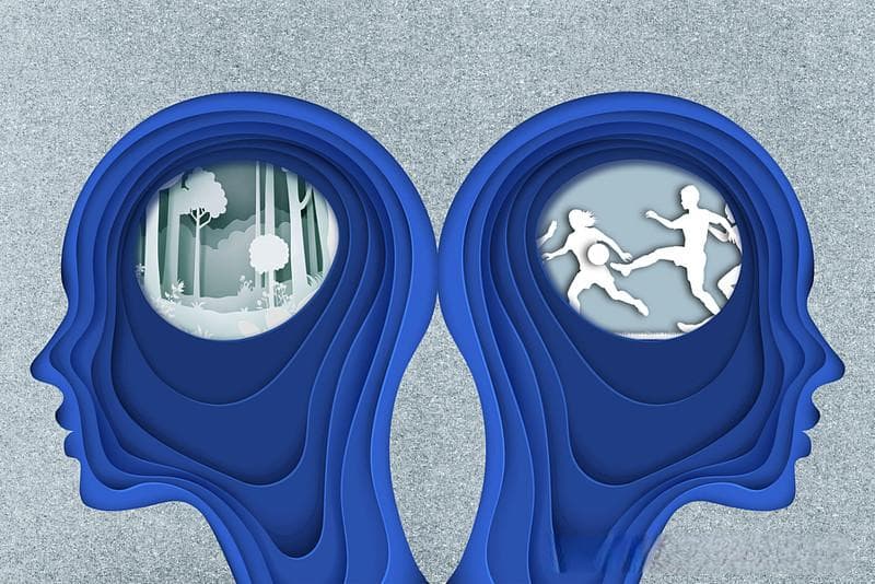 人是如何记住事儿的？MIT科学家揭开了秘密