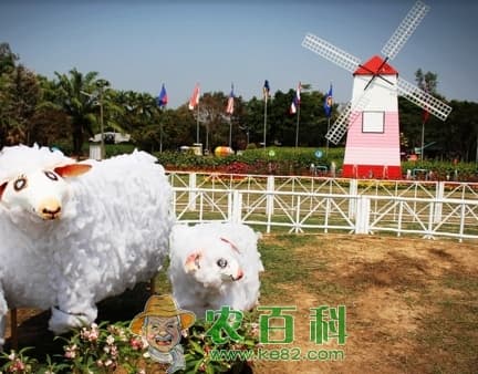 家庭农场和农民合作社有什么区别？更适合哪些人投资？