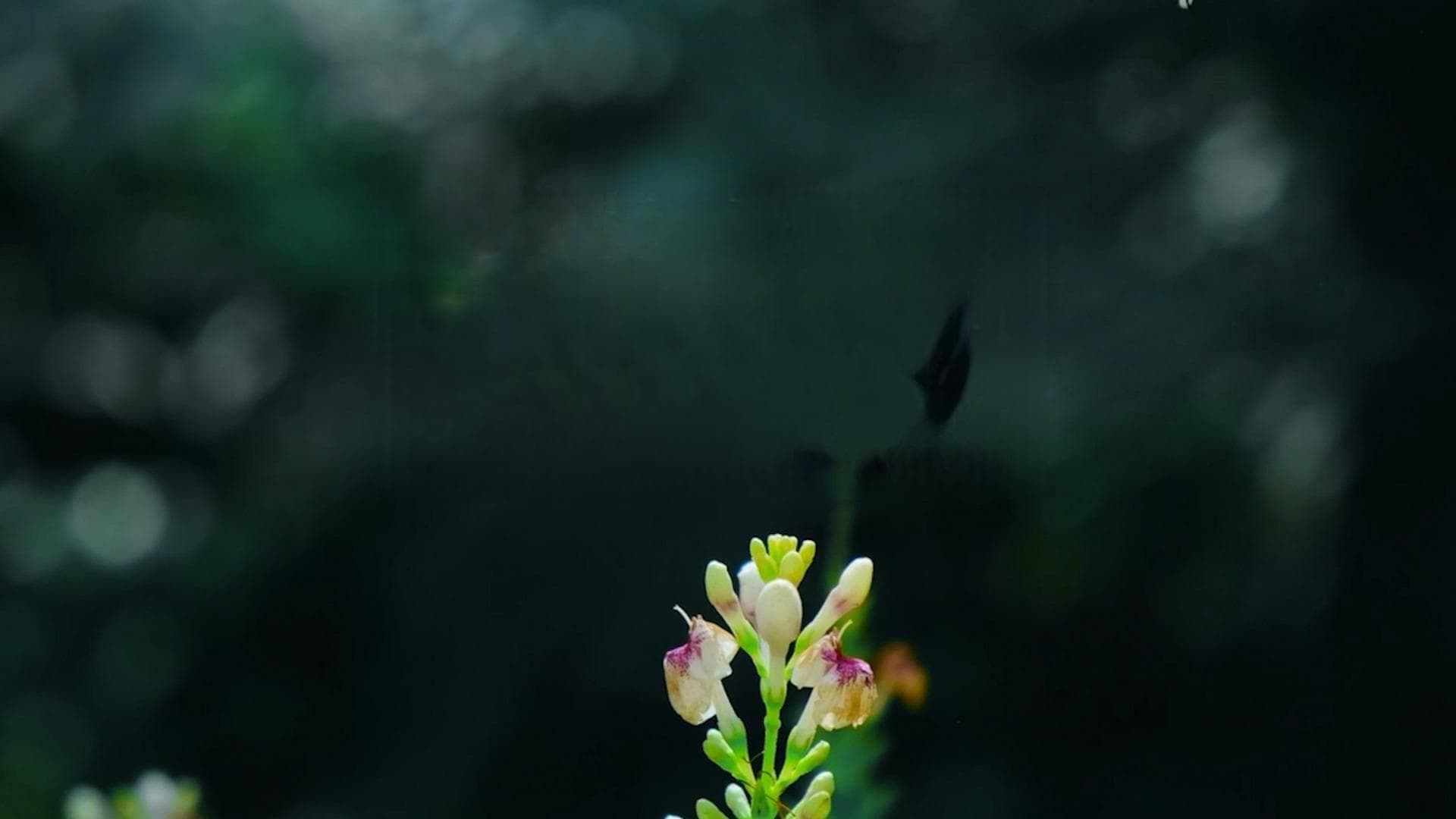 健康管理师沈月寅解析自我疗愈的真相与实践