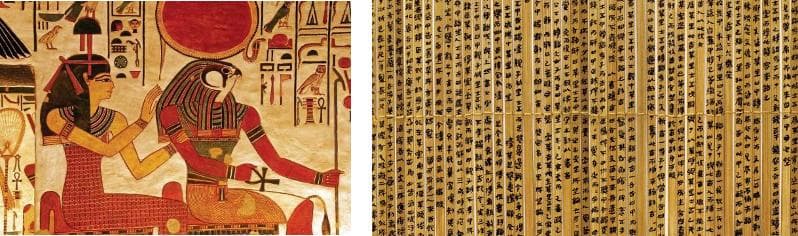 探秘记忆宫殿：从古代智慧到现代科学，揭秘海马体和记忆之谜