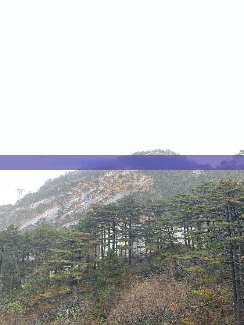 从临沂到昆明的多种经济出行方案：飞机、火车及汽车全面比较
