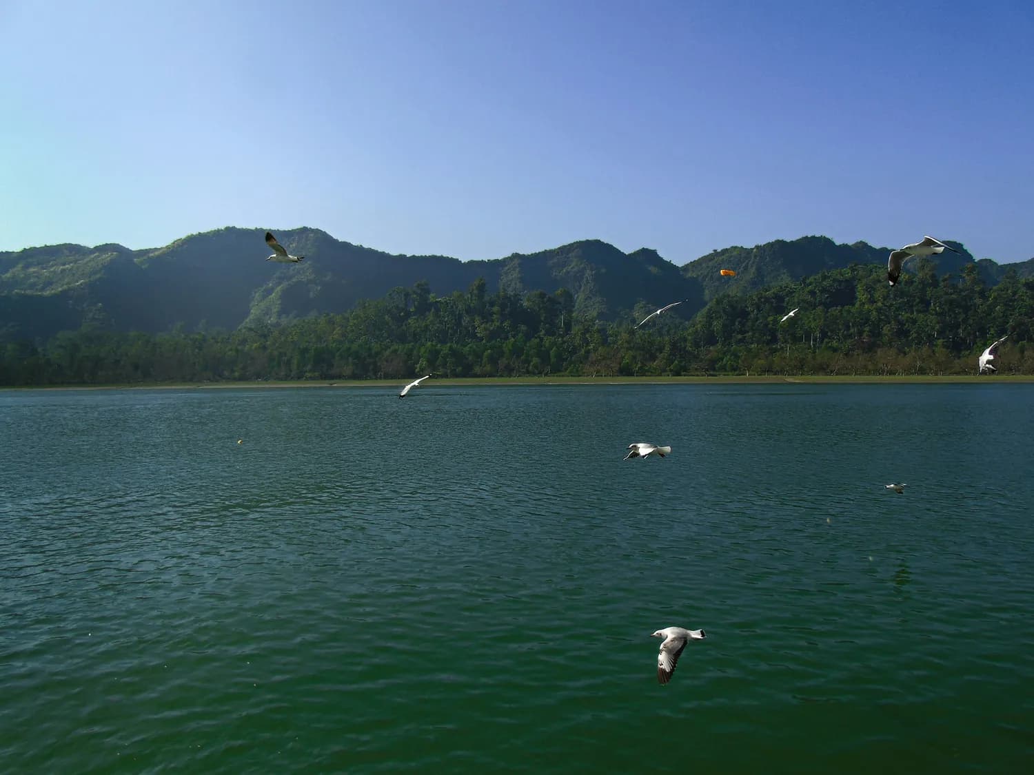 合肥到长沙自驾游：打卡池州、黄山、武汉必玩景点！