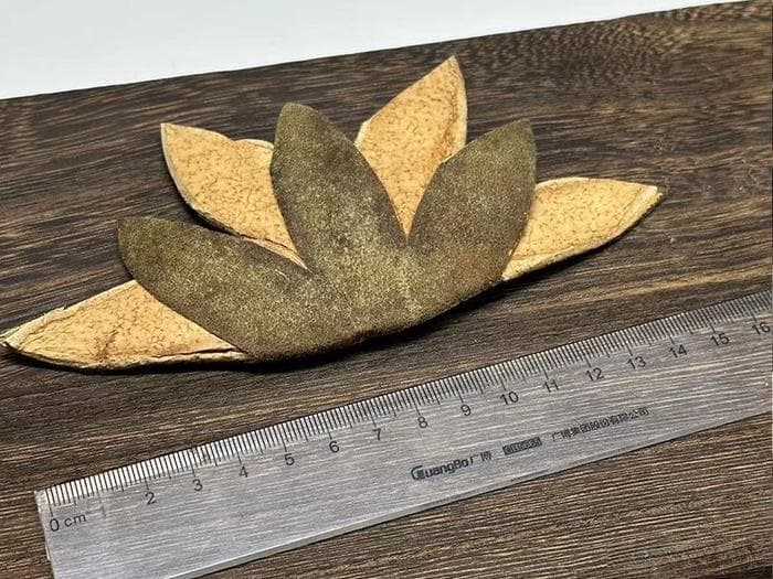 化橘红的功效与作用：从历史到现代研究的全面解读