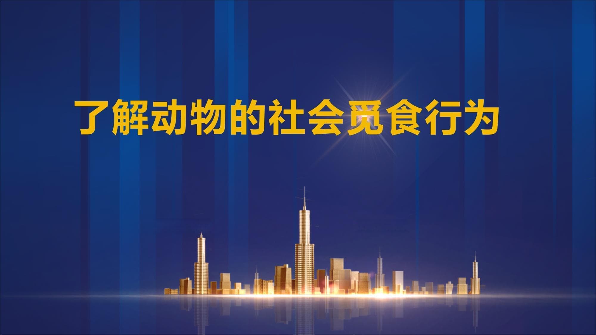 了解动物的社会觅食行为