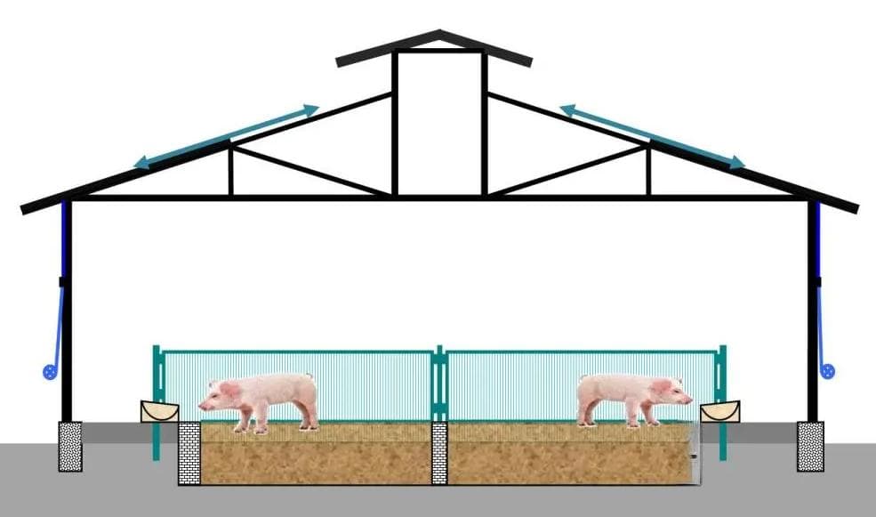 猪舍建筑设计指南：从安全到环保的全方位考量
