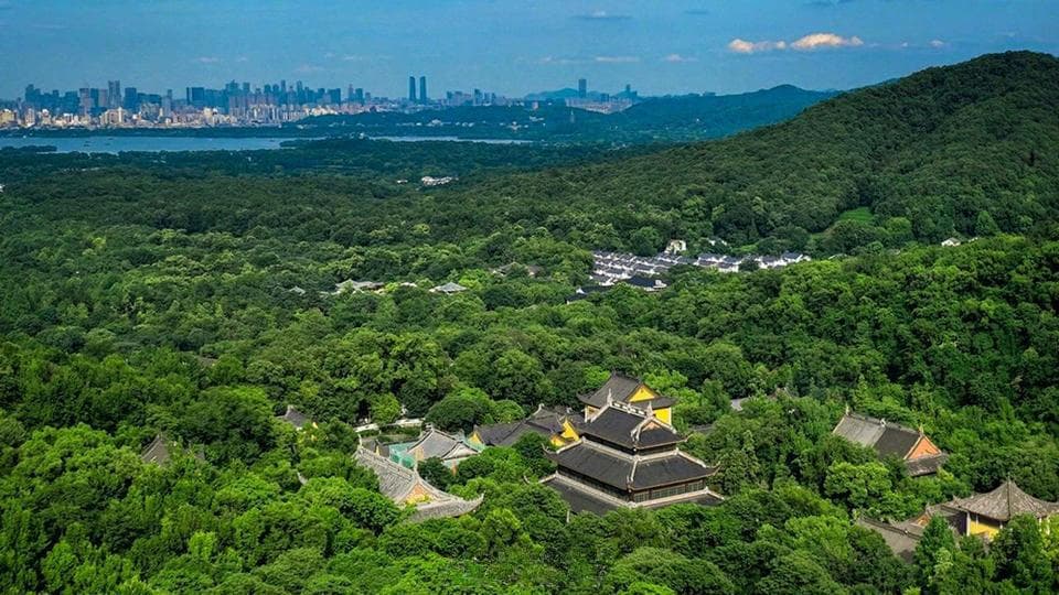 灵隐寺推出7天丛林生活体验：手机全程上缴，不到一天就报满
