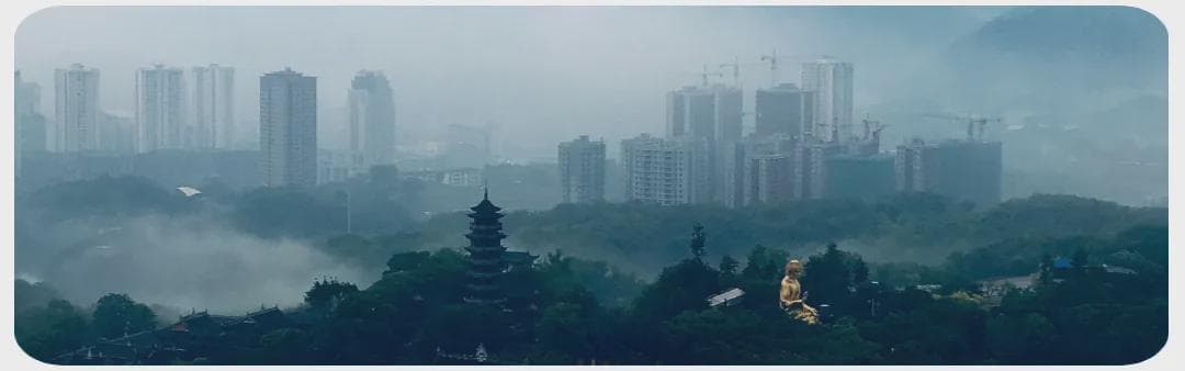 华岩寺第六届正见班继续学习《法华经经要》