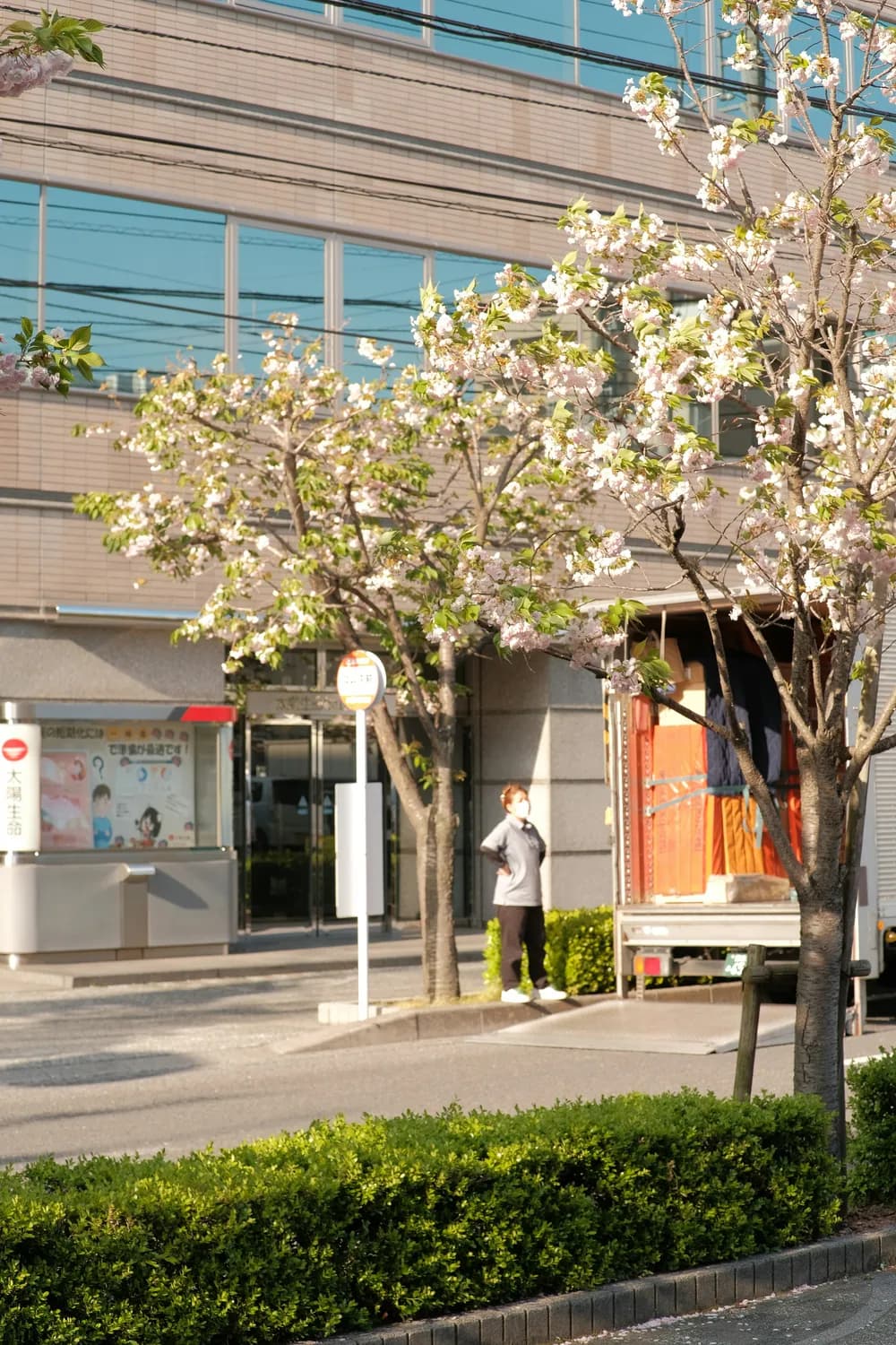 丽江古城必打卡：樱花餐厅&油纸伞街