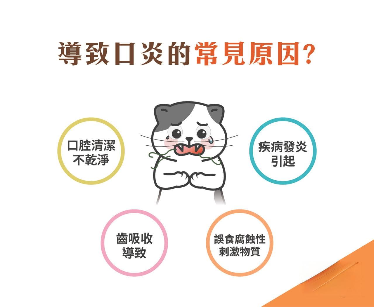 猫咪口炎怎么办？原因、症状及预防治疗全攻略