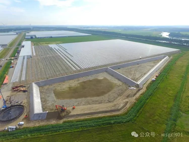 大型工业化玻璃温室建造指南
