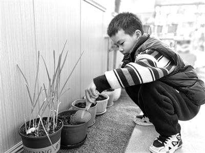 家长不支持孩子劳动怎么办？专家给出三个实用建议