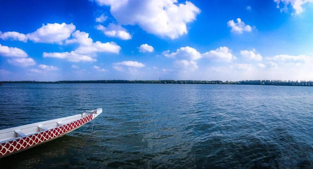 上海新添5A景区！崇明西沙明珠湖免费开放，自然风光美到窒息