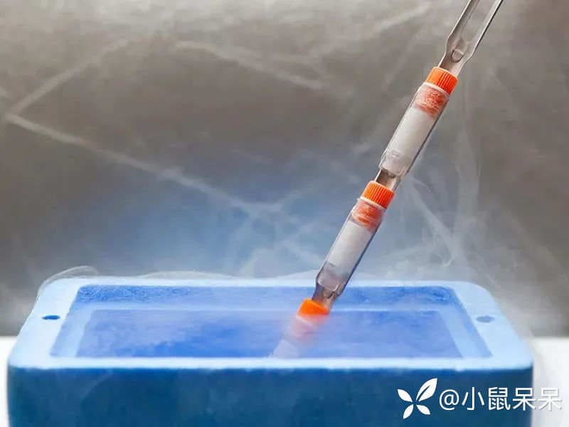 干货分享 | 实验样本保存的6条吐血经验