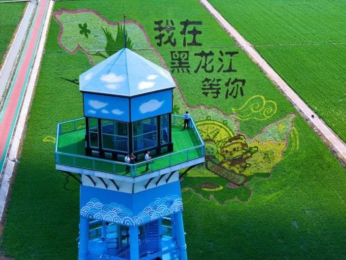 让“大流量”澎湃“大增量”：黑龙江全季全域旅游观察
